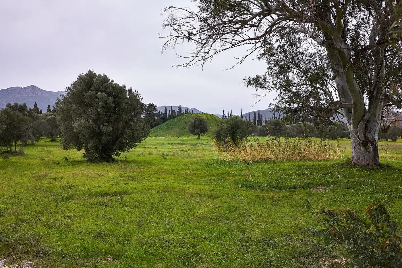 The grassy burial mound of the Athenian dead on the plain of Marathon
