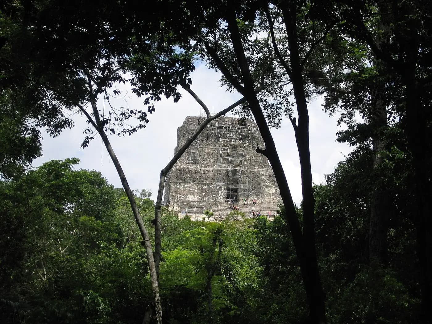 Temple IV rising above the forest canopy at Tikal, Guatemala